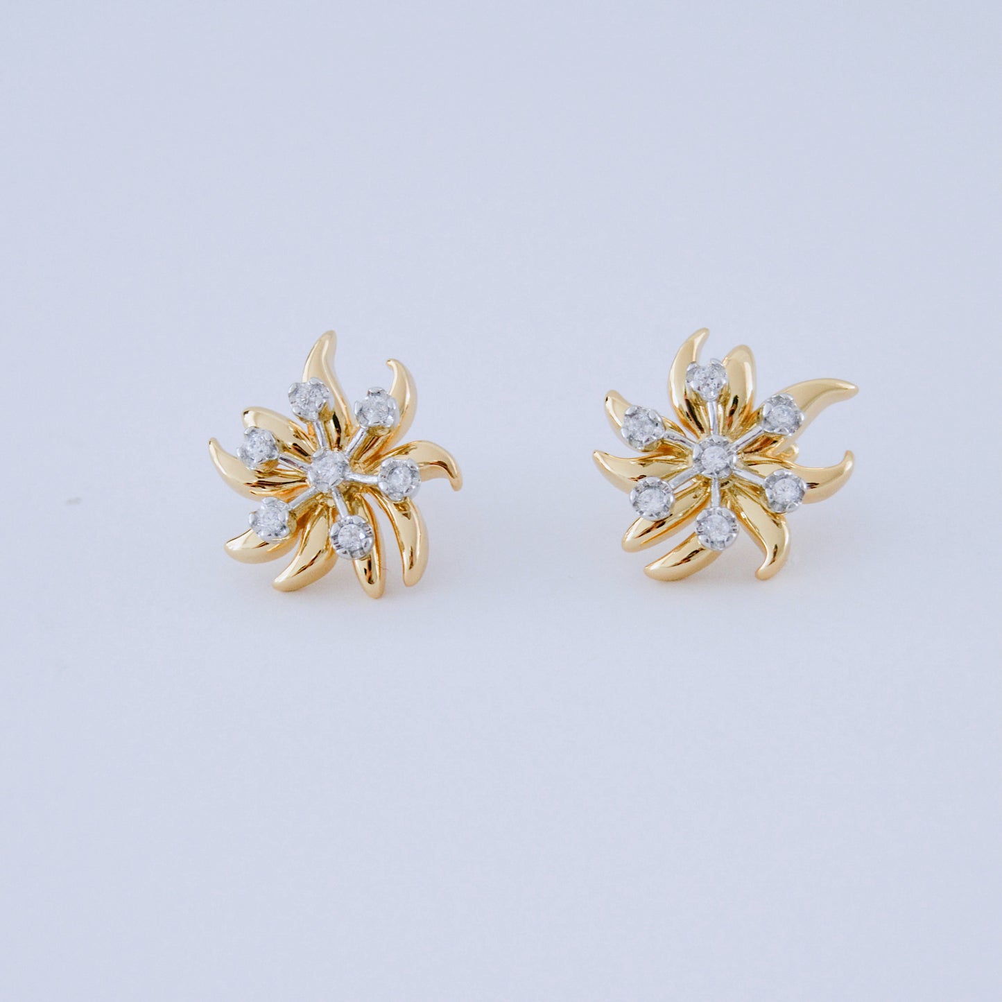 Two-Tone earring