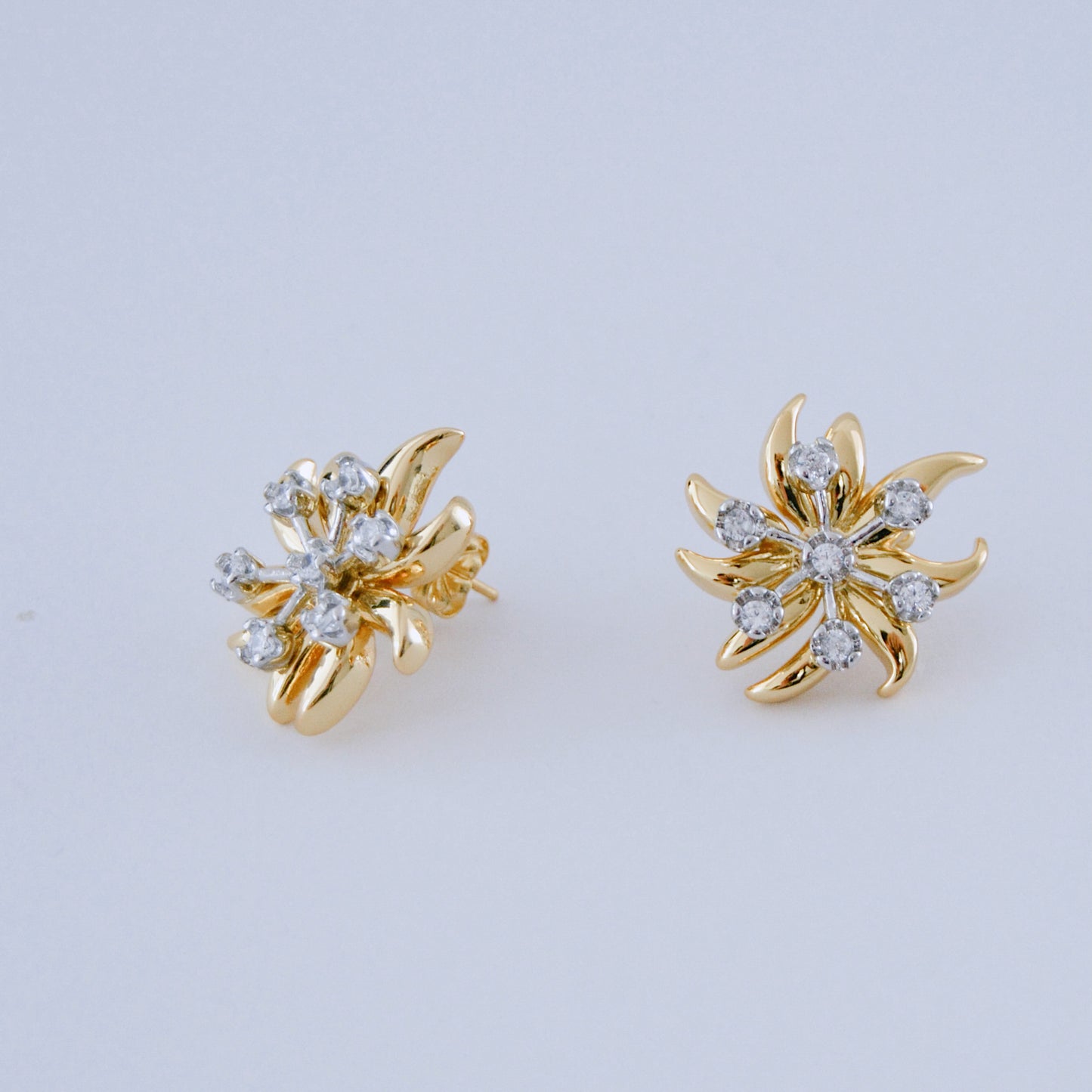 Two-Tone earring